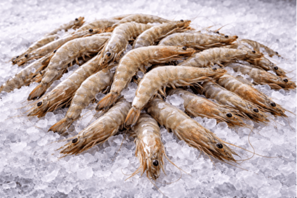 High-grade Shrimps sourced from Lampung / East Java / South Sulawesi, Indonesia, Indonesia